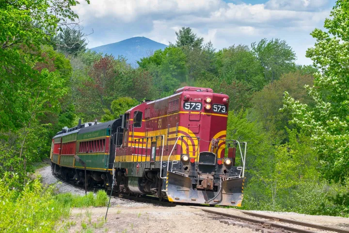 a train traveling down train tracks near a forest
