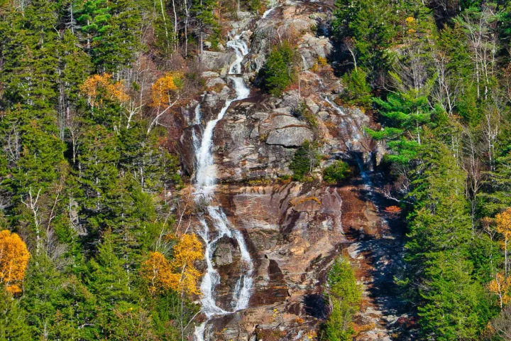 a waterfall in a forest