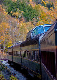 Dorthea-Mae-in-the-Fall Dorthea Mae in the Fall