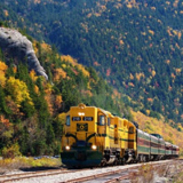 “Elephant’s Head” Photo credit Debbe Hill