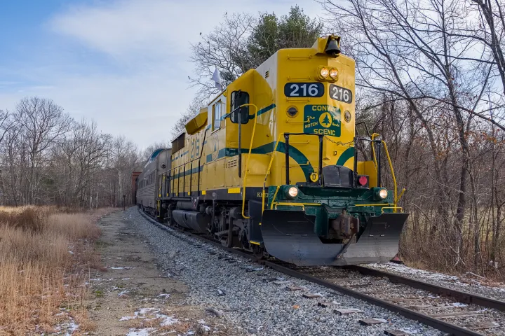 a train traveling down train tracks near a forest