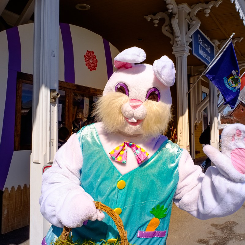 a person wearing a costume