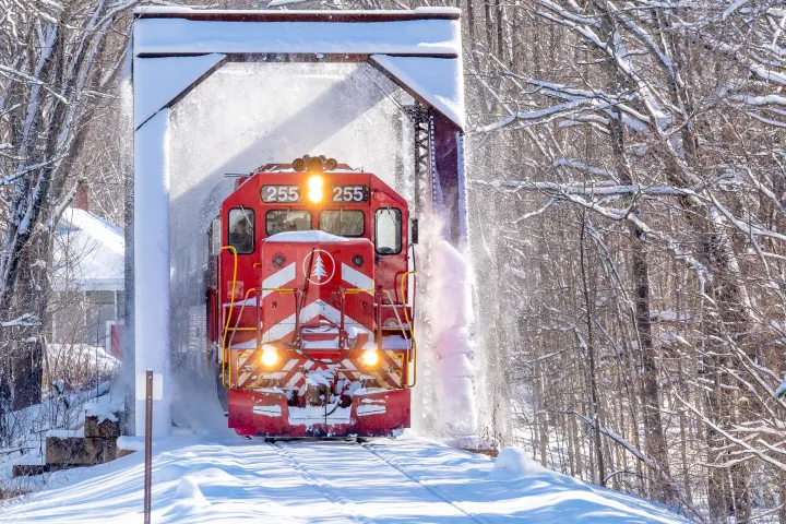 a house covered in snow
