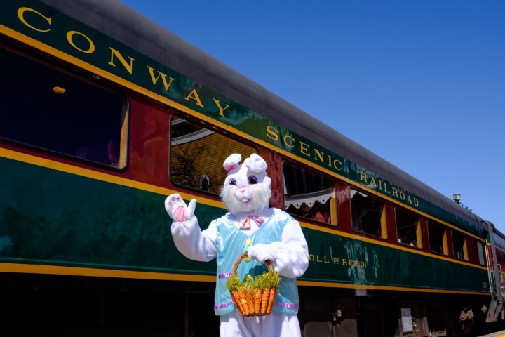 a person standing in front of a train