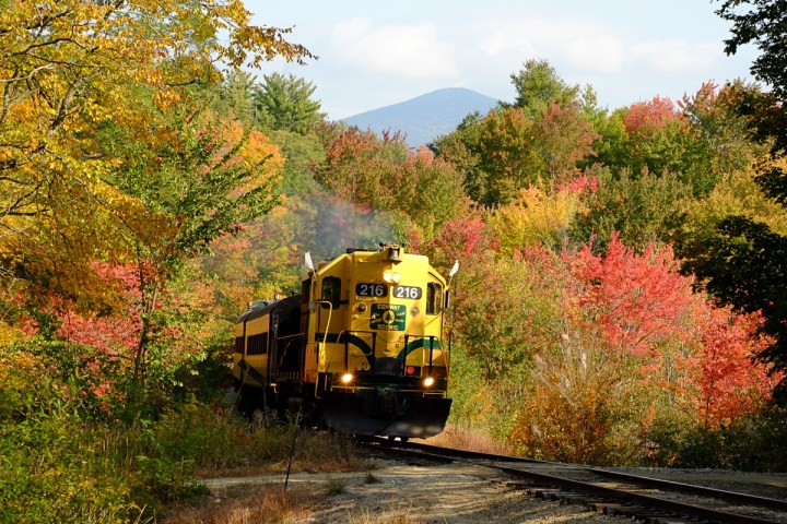 a train traveling down train tracks near a forest