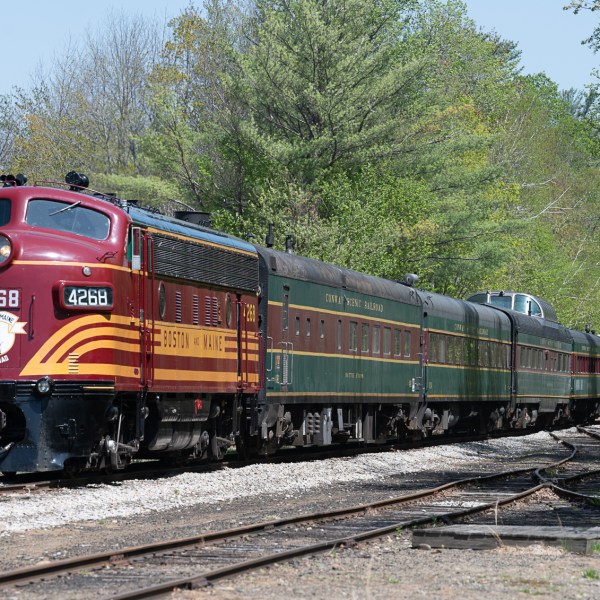 a train traveling down train tracks near a forest
