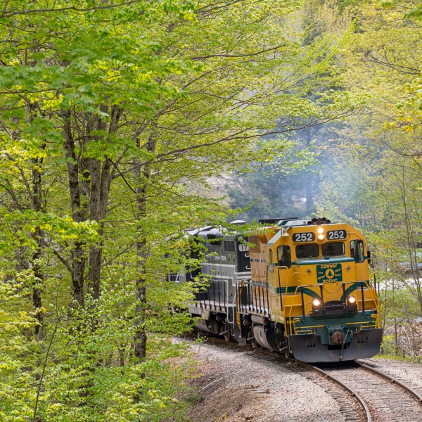 a train traveling down train tracks near a forest