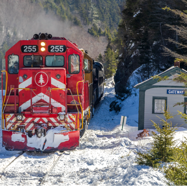 a train covered in snow