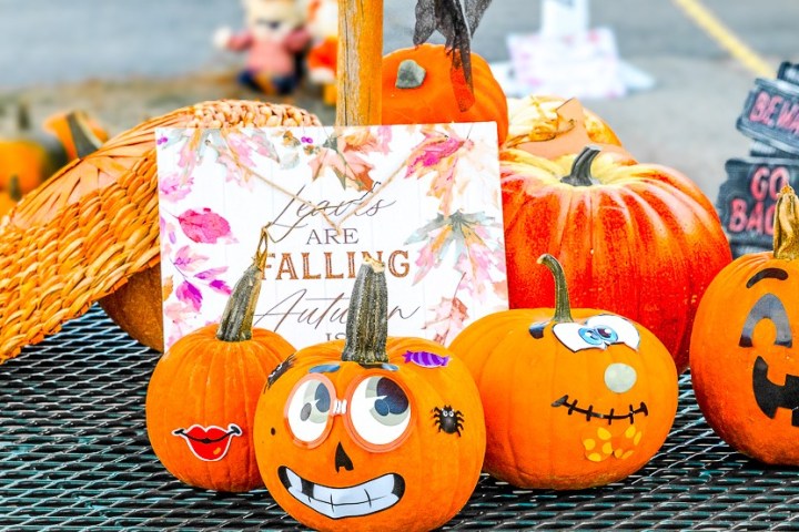Decorative pumpkins with faces on a table, surrounded by autumn-themed signs and decorations.