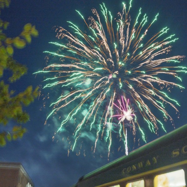 Fireworks exploding in the night sky above a train and trees.