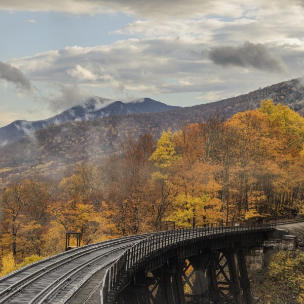 Curved railway bridge over autumn forest with mountains in background.