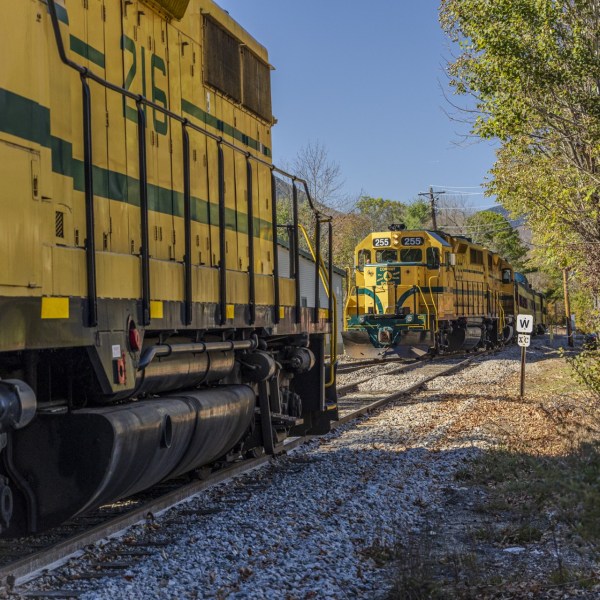 Two yellow and green trains on parallel tracks surrounded by trees and shrubs.