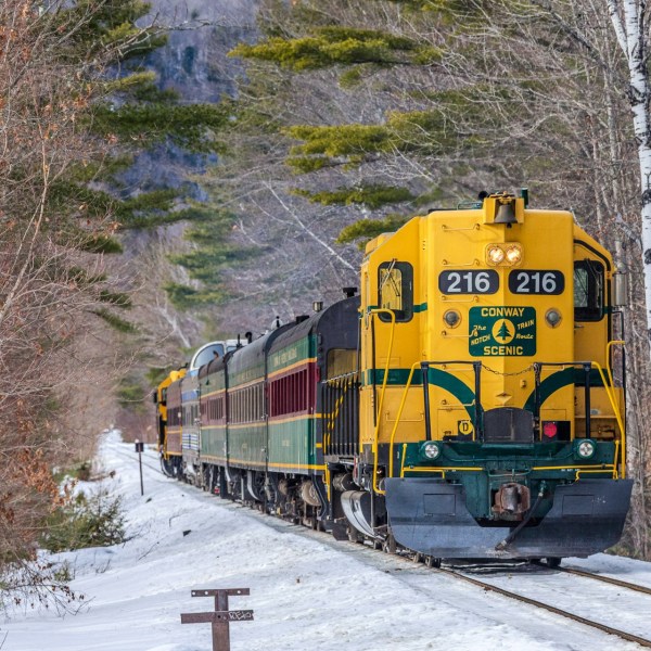 Yellow train marked '216' travels on snowy tracks through a forested area.