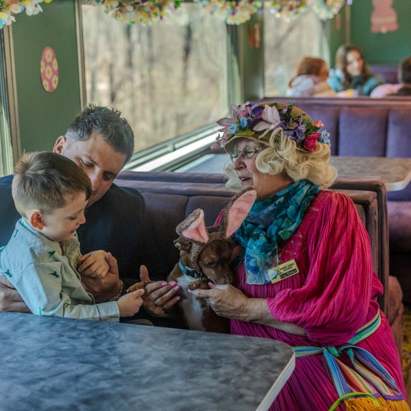 Child with adult and woman in floral hat with dog, inside a decorated train.