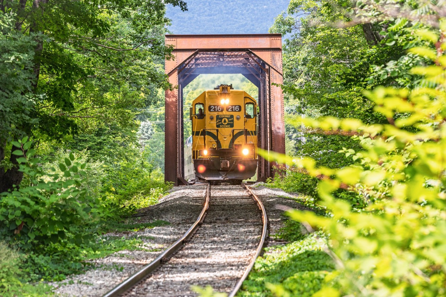 Yellow train crossing a bridge surrounded by lush green trees.