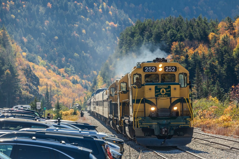 Yellow and black train passing through a forest with autumn foliage.